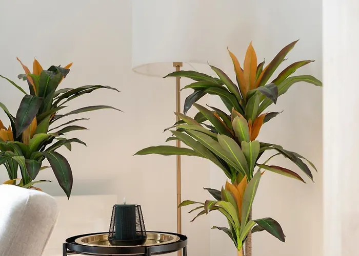 Апартаменты L'eclat De Gambetta - Place Stanislas - 6 Pers *